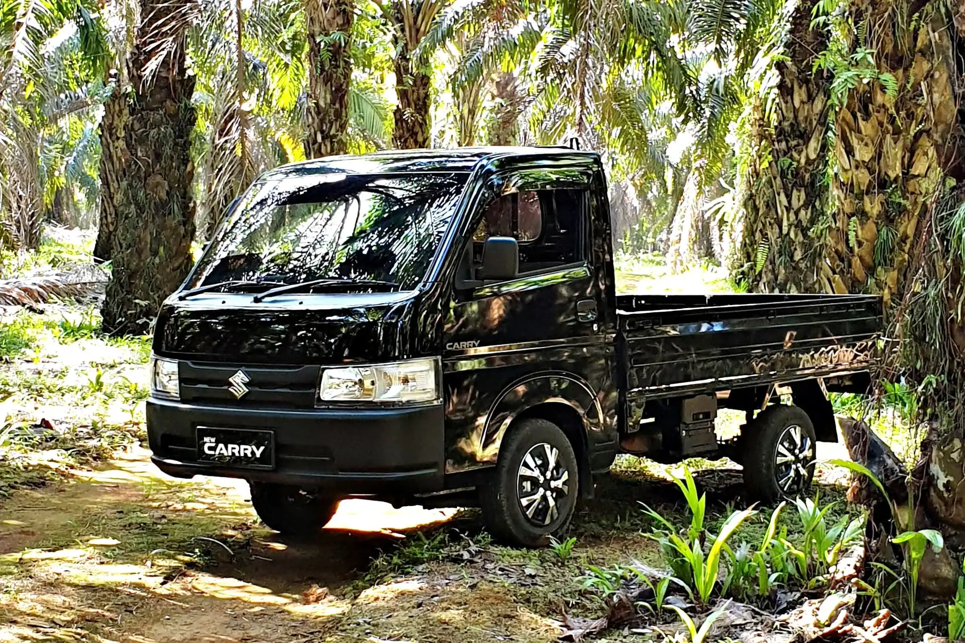 Mengapa Suzuki Carry Menjadi Pilihan Utama Petani dan Pedagang di Lumajang